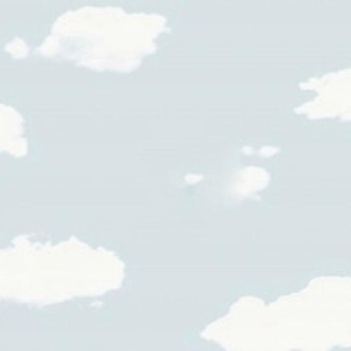 Шпалери yuanlong Seino, 18111