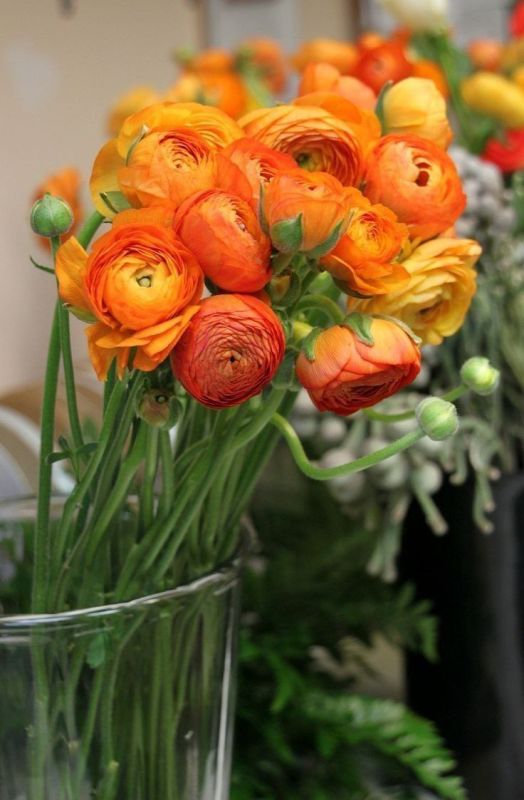 Фотошпалери: Букет красивих троянд, 3DF-20250425-06