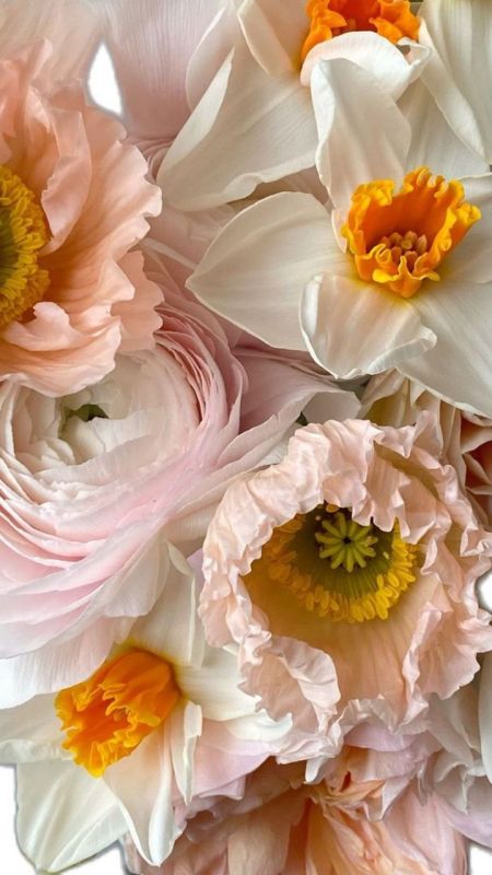 Фотошпалери: Ніжні квіти крупним планом, 3DF-20250425-10