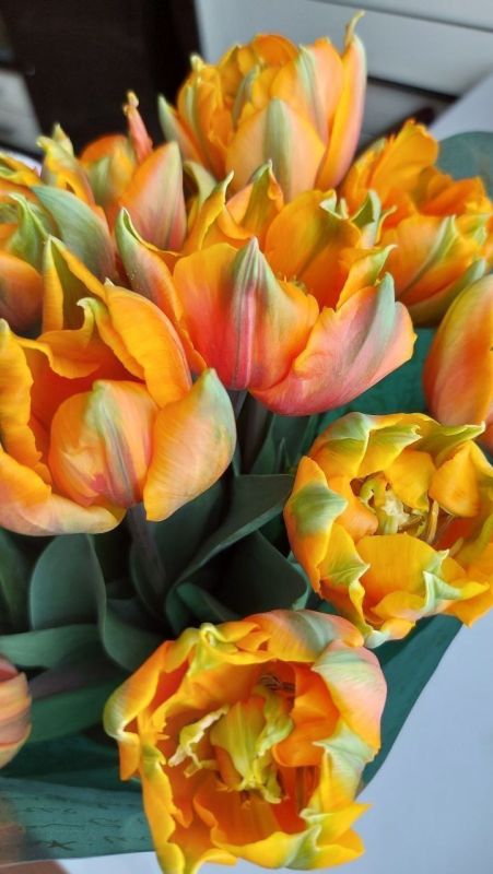 Фотошпалери: Помаранчеві квіти, 3DF-20250425-13