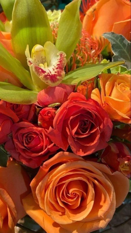 Фотошпалери: Бутони троянд, 3DF-20250425-16