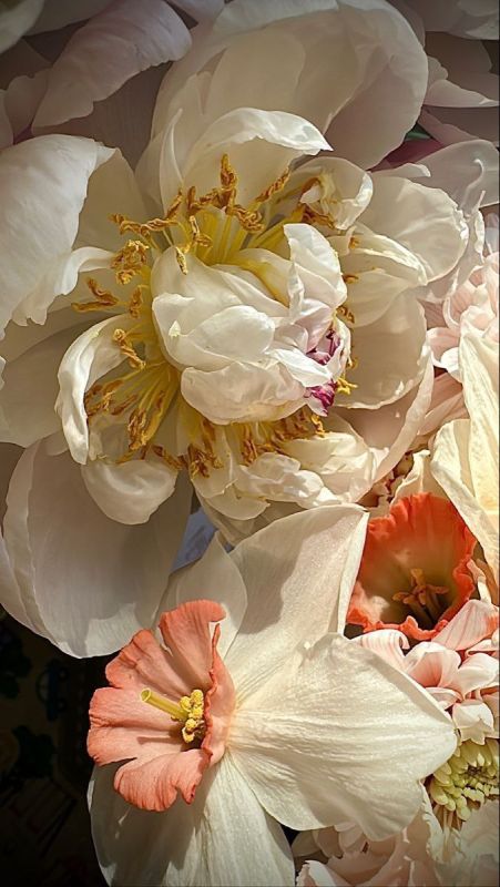 Фотошпалери: Ніжні квіти білого кольору, 3DF-20250425-18