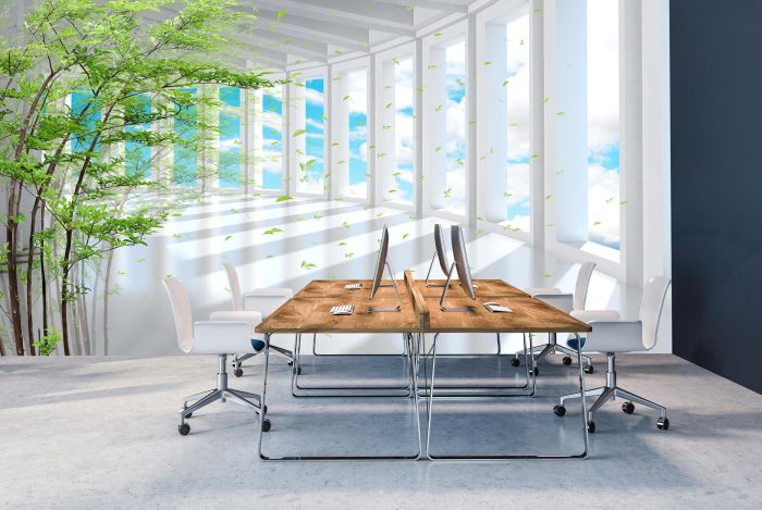 3D Фотошпалери 3Д Літній коридор