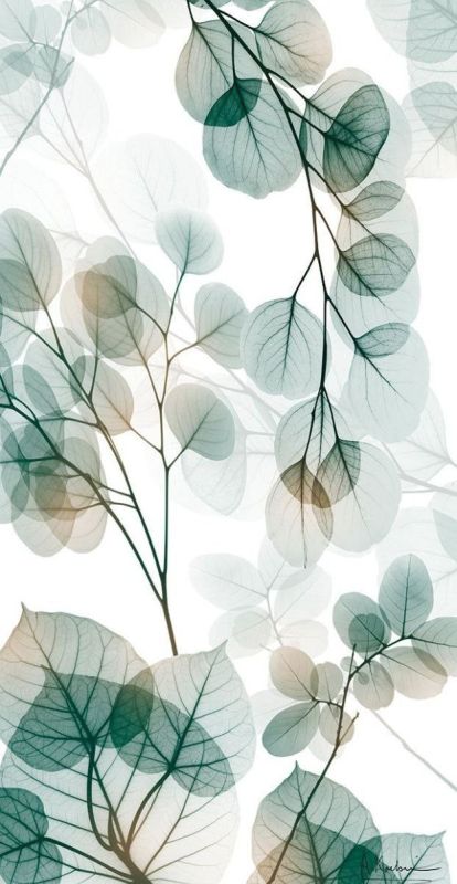 Фотошпалери: Напівпрозоре листя, A-250825-0020