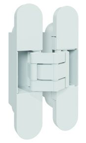 Петля прихованого монтажу, AXOR 24*110 мм, БІЛИЙ МАТОВИЙ, D5004-00- N01