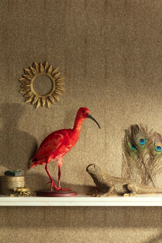 Шпалери Khroma Cabinet Of Curiosities CAB904
