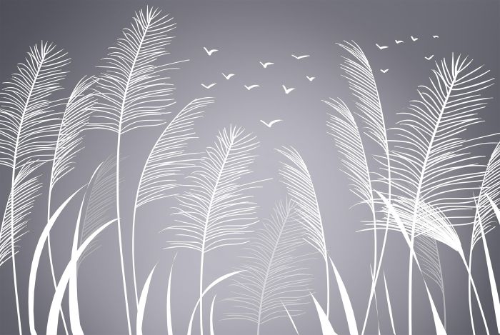 3D Фотошпалери 3Д Векторні пір'я