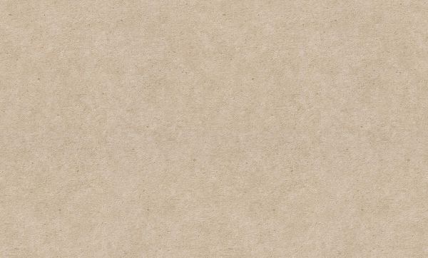 Шпалери Erismann Fashion For Walls 5 106 2, 12262-11