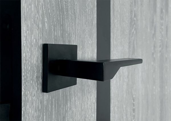Міжкімнатні двері НYGGE ARVIKA ERIS Black Line Grey Oak 2030/795