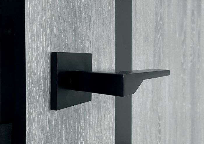 Міжкімнатні двері HYGGE ARVIKA ERIS Black Line Grey Oak 2000/595