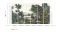Панно Khroma Wall Designs II DG2SAF1012